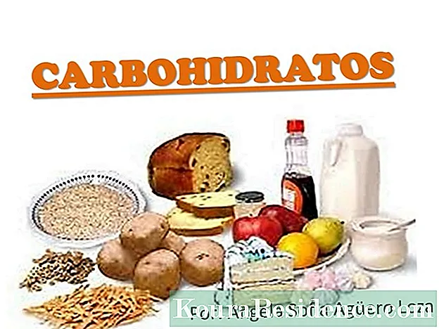Karbohidrato elikagai konplexuak