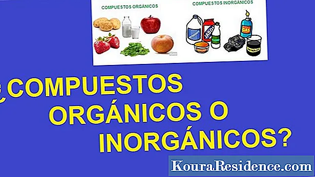 Organic and Inorganic Compounds