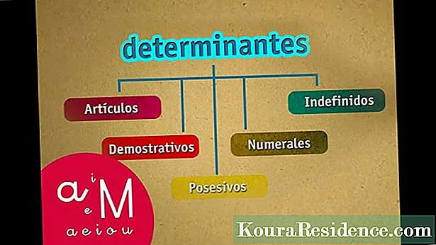 Nedefinované determinanty