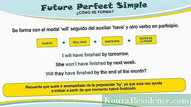 Future simple in English (will)