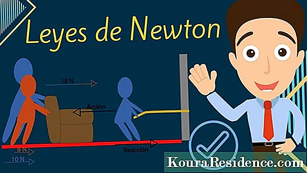 Newtonovy zákony