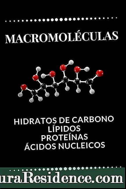 Makromolekyler