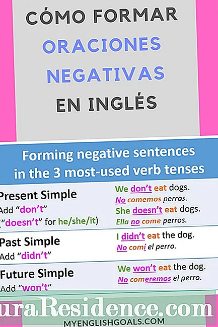 Sentences in Present Perfect (English)