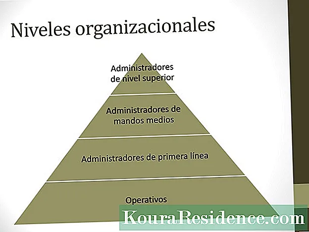 Linear Organizations