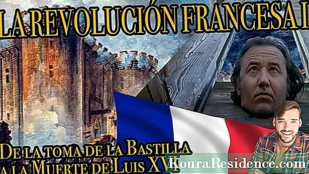 Frânske Revolúsje